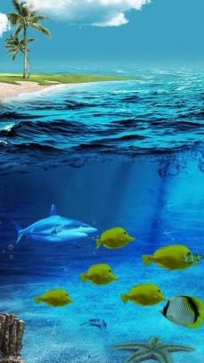 3D海底世界动态桌面壁纸安卓版(手机动态壁纸软件) v1.12 最新版
