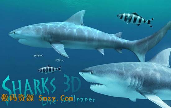 Sharks 3D for mac