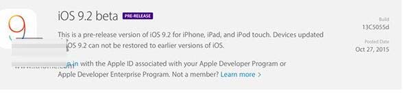 苹果iOS9.2正式版固件for iPhone 6 Plus vBeta1 13C5055d 官方最新版