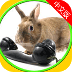 兔子跳跃苹果版(手机休闲游戏) v1.2.0 iOS版