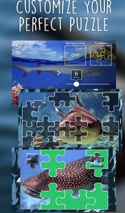 鲨鱼拼图苹果版(手机休闲游戏) v1.2 iOS版