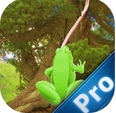 极限青蛙苹果版(iPhone休闲游戏) v5.1.2 最新手机版