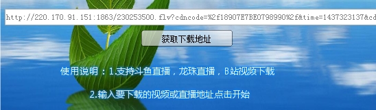 龙珠直播斗鱼直播B站视频下载工具使用过程