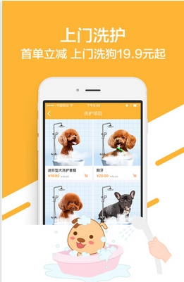 喵三汪四苹果版(宠物应用) v2.5 手机版