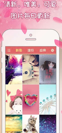 花漾壁纸苹果版(花漾壁纸IOS版) v1.2 免费版