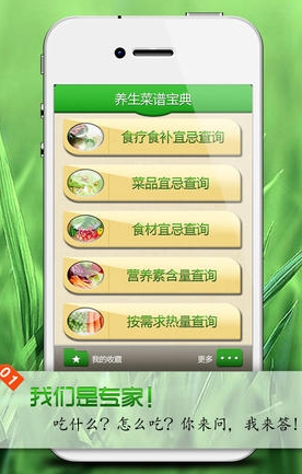 养生菜谱宝典苹果版(养生菜谱IOS版) v1.1 免费版