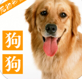 宠物知识系列之狗狗苹果ios版(手机宠物应用) v1.5 官方最新版