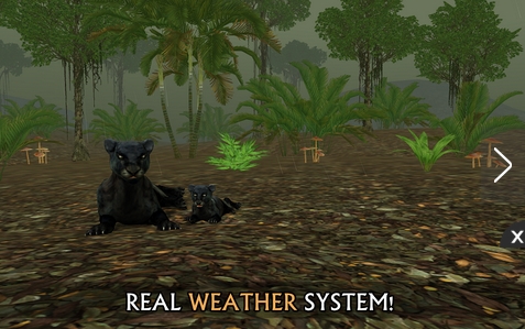 野生动物模拟3D安卓版(手机模拟野生动物软件) v1.4 最新版
