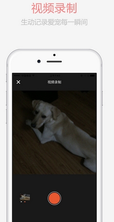 宠物日常iOS版(苹果手机宠物社交软件) v1.3 最新版