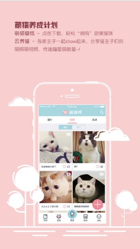 萌猫邦iPhone版(猫咪知识分享平台) v1.5 苹果版