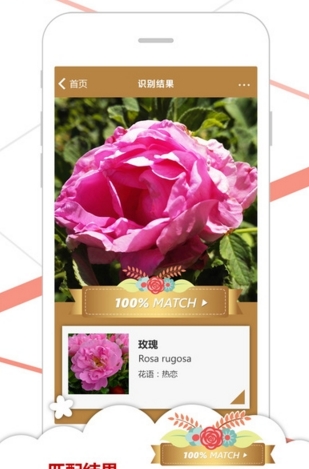 微軟識花蘋果版(識花app) v1.1 官方iOS版