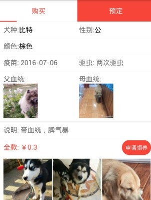 领狗狗最新版(宠物领养app) v2.6 Android手机版