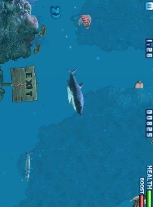 嗜血狂鲨3正式版(休闲游戏) v3.6 安卓手机版