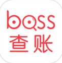 BOSS查账手机版for iPhone v1.2 苹果版