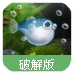 我的河豚水族馆手游(手机宠物养殖) v1.2.0.4 最新安卓版