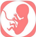 胎教知识iPhone版(孕妇百科知识) v1.1 IOS版