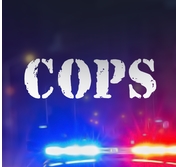 警察飙车ios版(Cops On Patrol) v1.6 苹果版