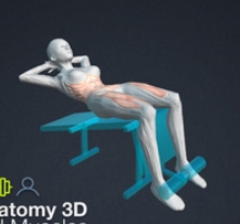 人体解剖学3DiPhone版(人体解剖学图集) v5.3.1 苹果版