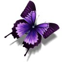 蝴蝶浏览器最新版