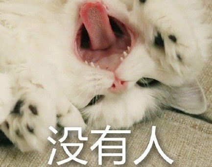 馒头猫超凶表情包