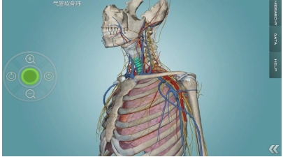 人体解剖学图集安卓版(手机医学应用) v2.8.0 最新版