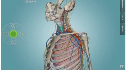 人體解剖學圖集安卓版(手機醫學應用) v2.8.0 最新版