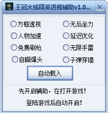 王冠火线精英透视辅助