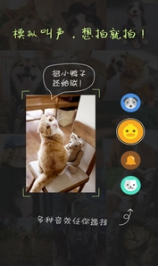 萌宠相机安卓版(抓拍宠物手机app) v1.8 最新版