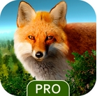 野生森林狩猎Pro苹果版(手机模拟狩猎游戏) v1.1 免费版