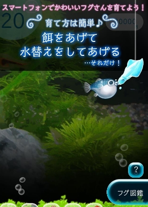 治愈系河豚的饲养套装手游(安卓放置游戏) v1.1 Android最新版