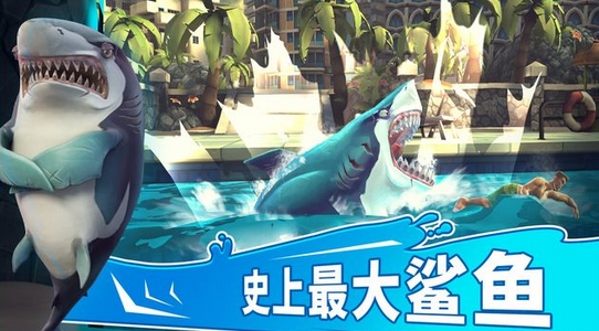 饥饿鲨世界3D安卓版(休闲类手游) v1.3.6 最新版