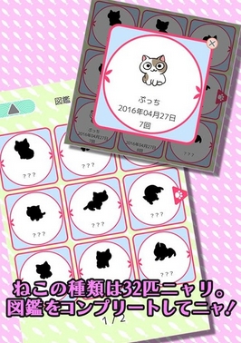 猫咪占卜Android版(休闲益智手游) v1.2.0 免费版
