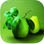 减肥食谱大全iOS版(健康减肥app) v9.44 手机版