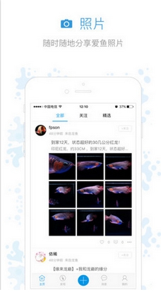 魚鄰蘋果版for ios v0.2.1 最新版