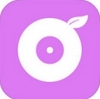柚子音乐苹果版for ios v1.5 官方版