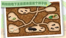 部落冲突蚂蚁安卓版v1.4 最新版