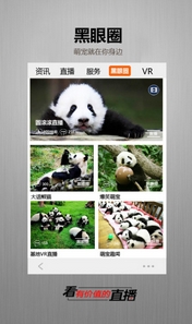 金熊猫APP安卓版(手机VR视频播放器APP) v1.1 Android版