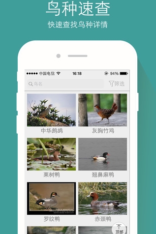 中国野鸟速查手机版v2.5 IOS版
