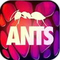 蚂蚁大冒险Android版v1.3 免费版