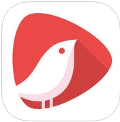 头牌app苹果手机版(短视频社交软件) v1.5.0 IOS免费版