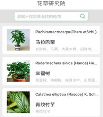 PlantsWord官方版(花草养殖手机应用) v1.3 安卓免费版