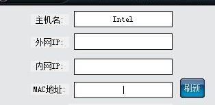 取内外网IP工具截图