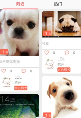 口袋狗app免费手机版(宠物服务) v1.4.1 安卓最新版