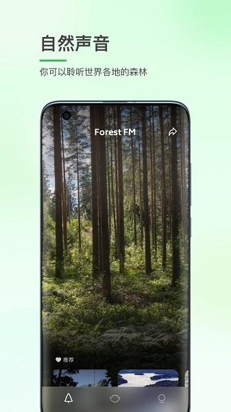 森林白噪音软件 1.0.11.0.1