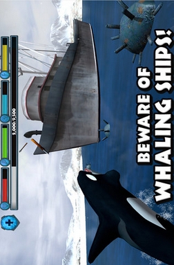 模拟大虎鲸安卓版截图