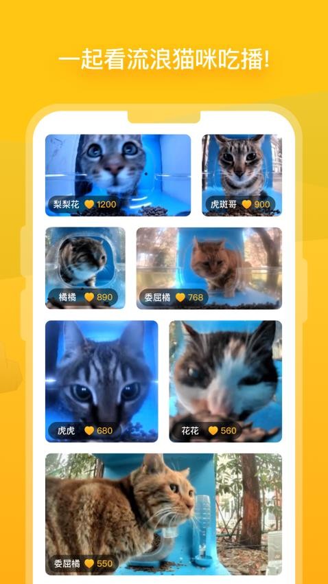哈啰街猫手机版v1.4.2