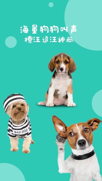 狗语翻译器appv9.6.2