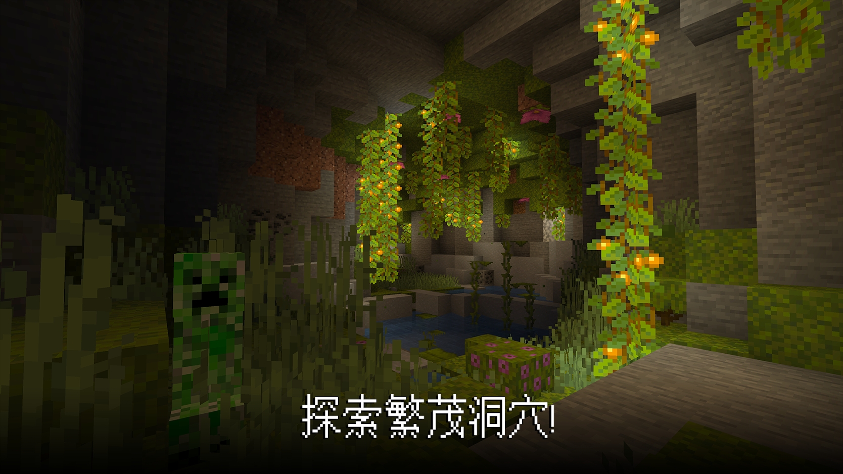 Minecraft我的世界国际服手机版下载1.22.21.01