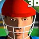 3D模拟板球官方手机版(休闲竞技玩法) v2.5 安卓免费版
