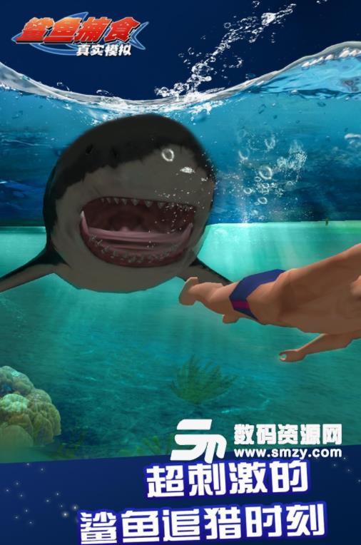 真实模拟鲨鱼捕食手游安卓版
